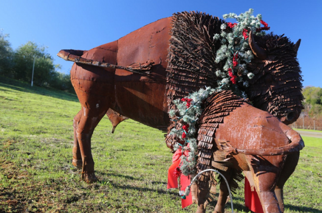 Photo for: Forthright Winery: Sourcing Only The Finest Fruit From Premium Growers