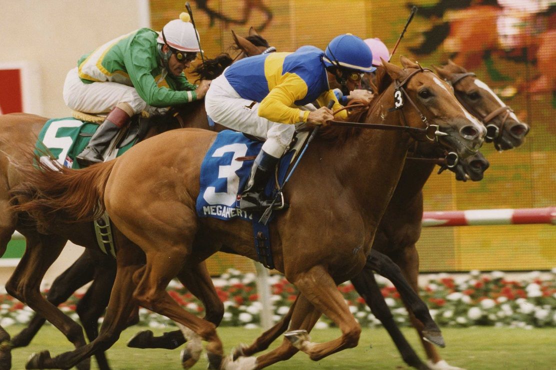 Photo for: Get wines delivered from Bello Family Vineyards, a family-owned winery in Napa Valley