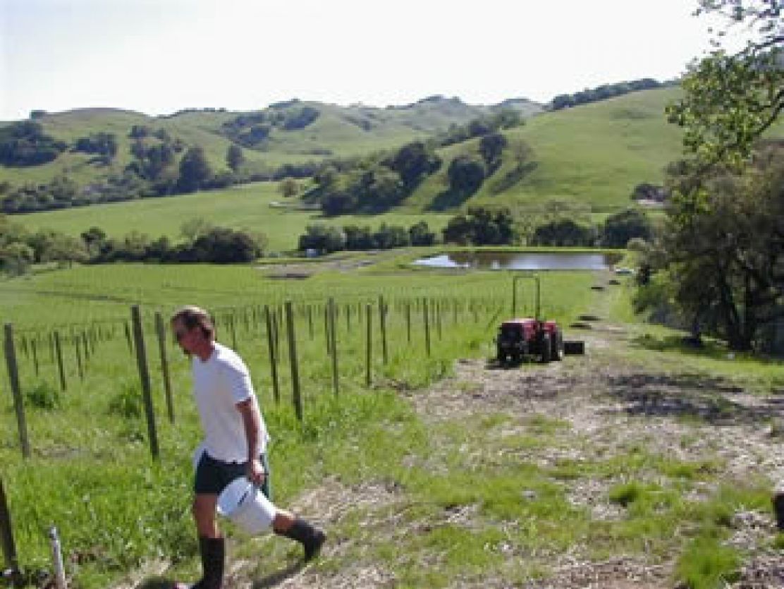 Photo for: Get Sangiovese Wines Delivered From Kendric Vineyards