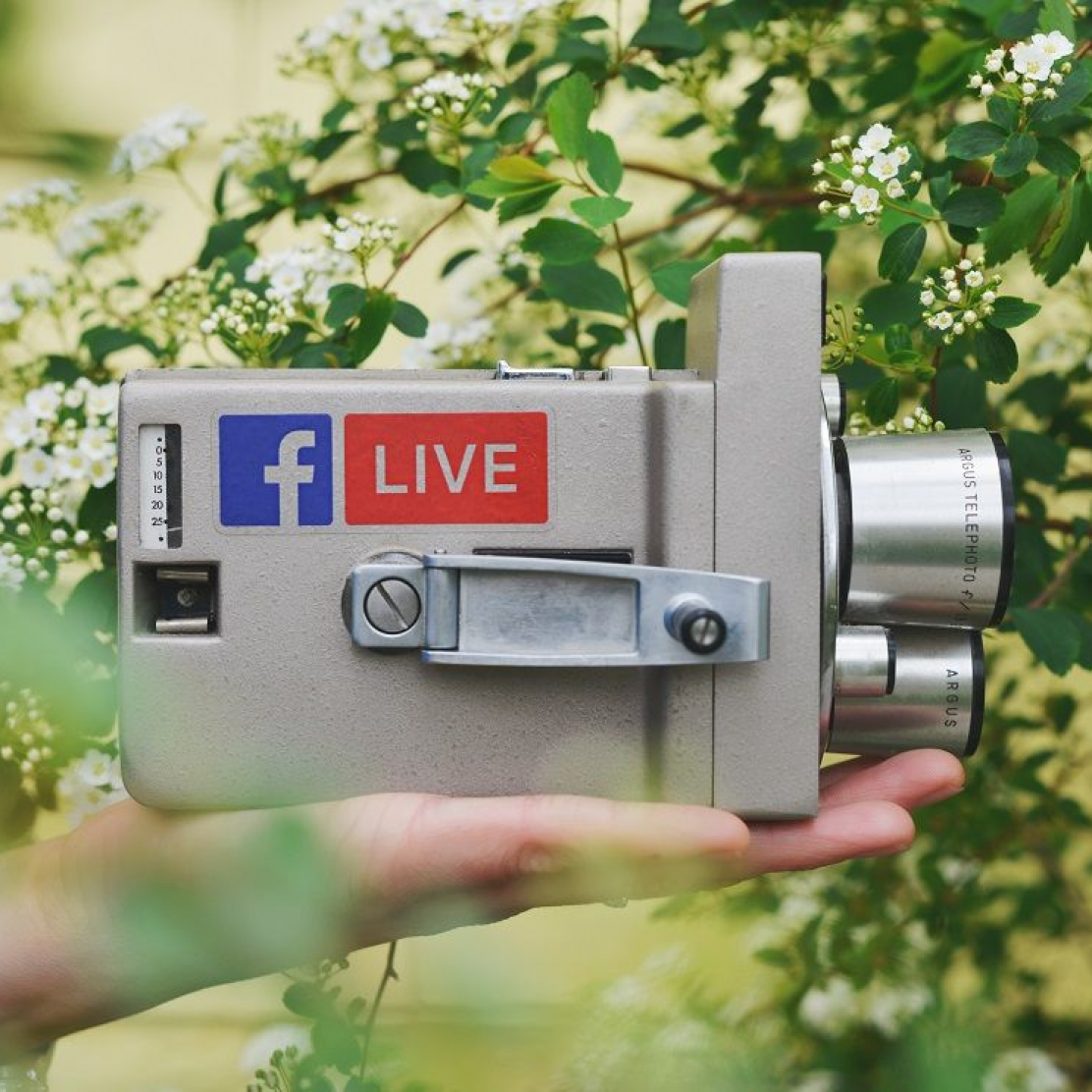 Photo for: Top 10 Things A Winery Needs To Do To Build An Online Presence