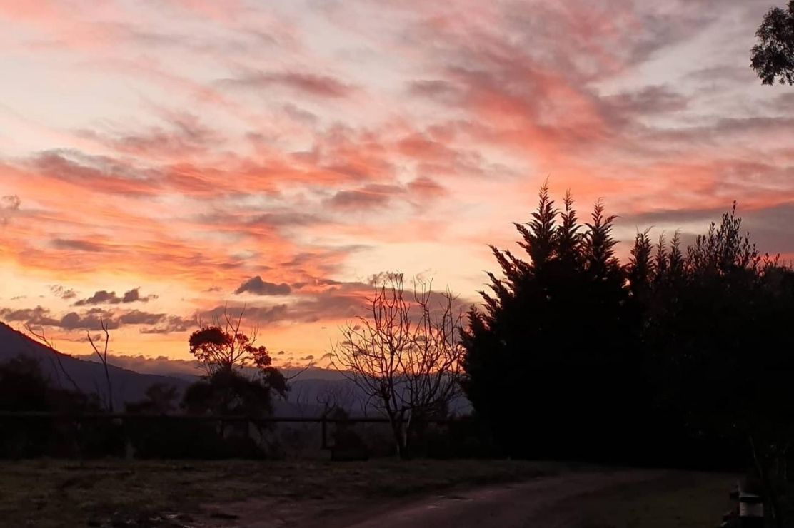 Photo for: Get Stefani Estate Wines Out Of Yarra Valley Delivered