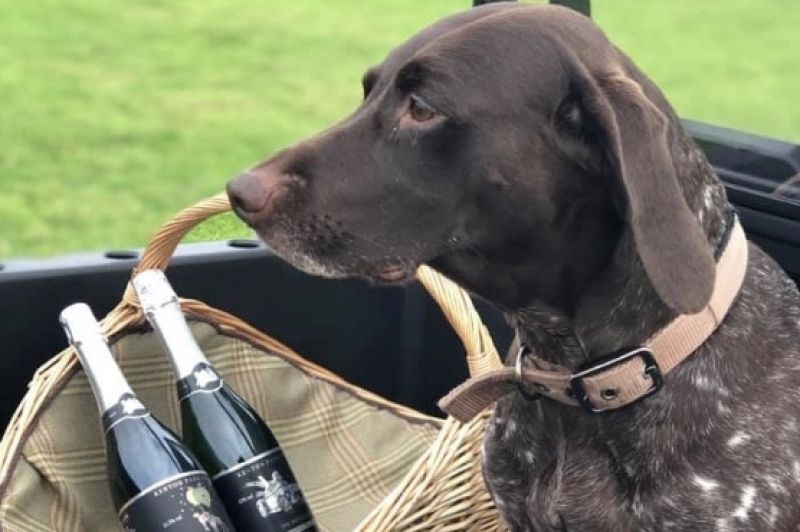 Photo for: Kenton Park Wine Estate - English Vineyard Delivering You