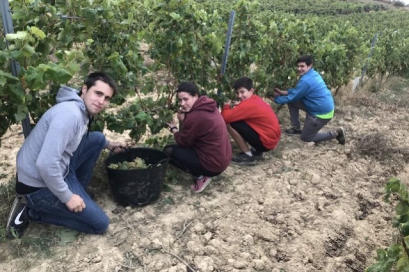 Photo for: Alutiz Vinos - Rioja Alavesa Wines